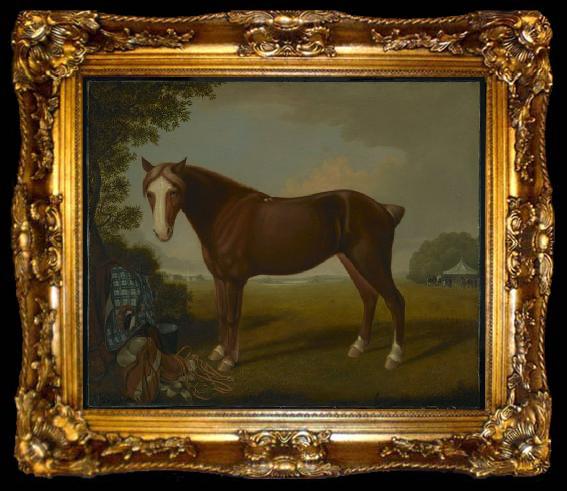 framed  unknow artist Portrait of a Horse, ta009-2